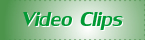 �Դ��ͤ�Ի�͹����� ����Ԥ�Դ���